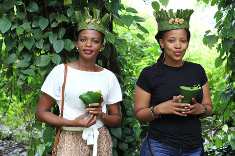 Zanzibar: Spice Farm, Butterfly Garden & Mtende Beach Tour