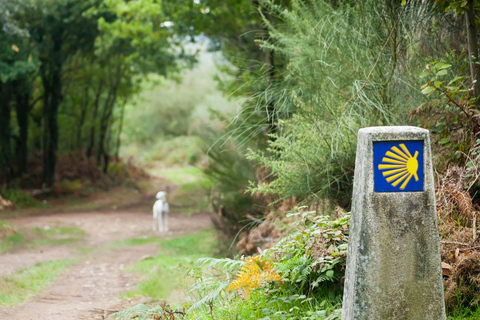 Desde Oia: Tour guiado a pie de 9 días por el Camino de Santiago