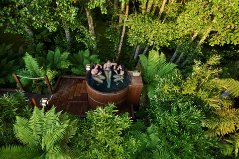 Auckland: Rotorua Day Tour with Redwoods Treewalk & Hot Tubs