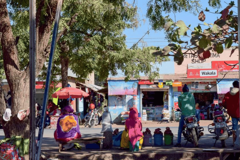 Arusha : expérience culturelle et safari masaï de 5 joursArusha : expérience culturelle masaï et safari de 5 jours