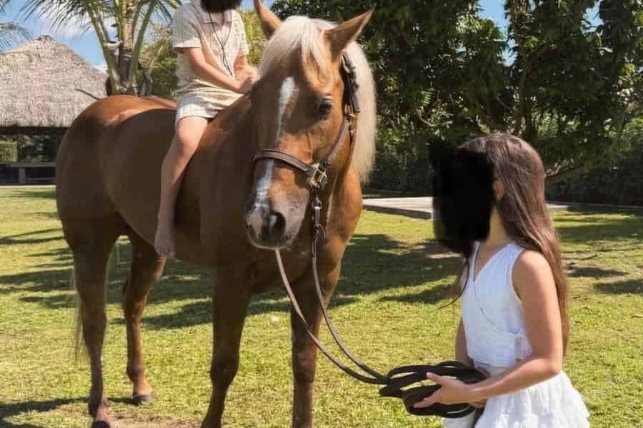 Miami: Reittour mit Kursleiter. Foto: GetYourGuide