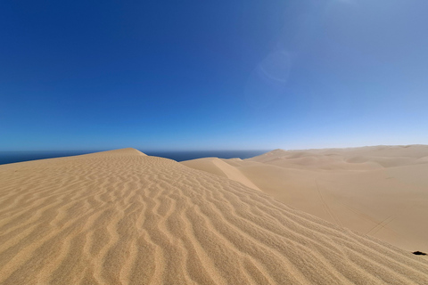 Swakopmund: Namib Desert Sunrise, Seals & Sandwich Harbour
