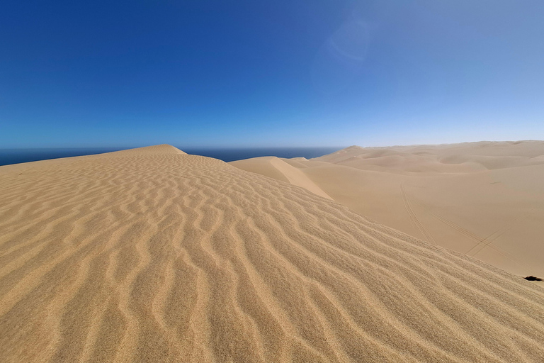 Swakopmund: Namib Desert Sunrise, Seals & Sandwich Harbour