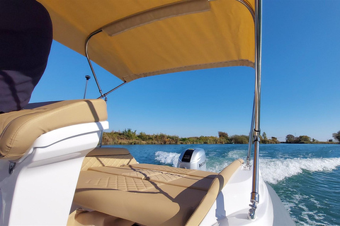 Sorrento-Positano-Amalfi: Private Tour Boat
