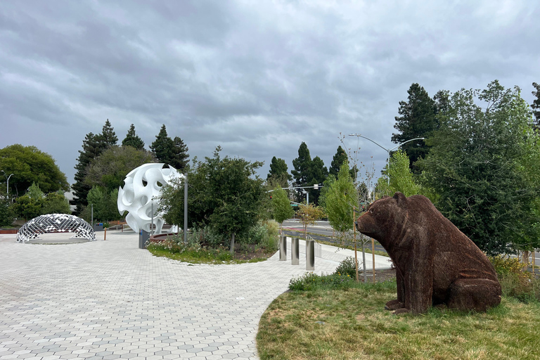 Tour privado por Silicon Valley