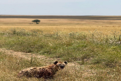 Nairobi: 2-tägige Safari im Amboseli-Nationalpark