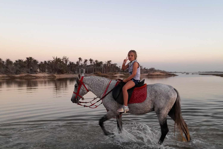 Djerba: Crossing the Lagoon on Horseback at Sunset Djerba: Horseback ride across the lagoon at sunset