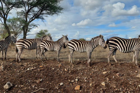 Privéavontuur Nairobi Nationaal Park in 4x4 LandcruiserPrivéavontuur in het Nairobi National Park in een 4x4 Landcruiser