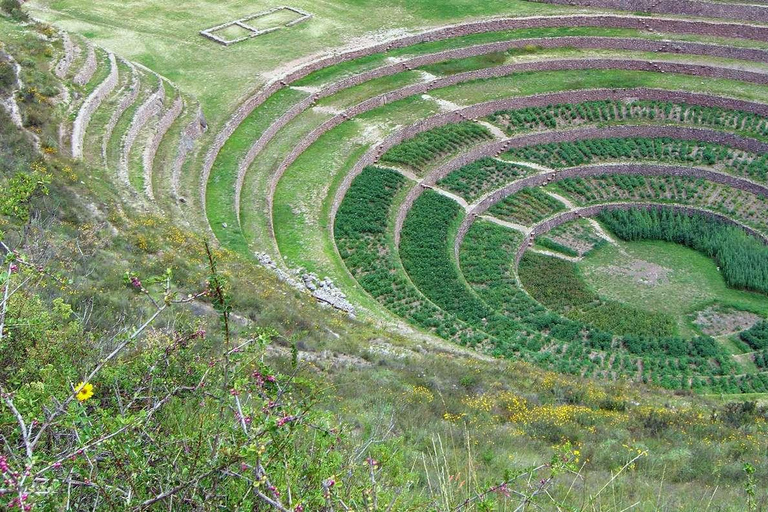 Från Cusco: Tur i Heliga dalen Salineras de Maras och Moray