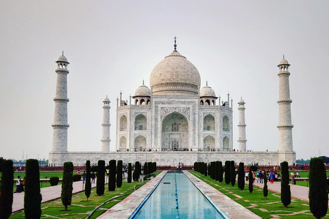 Desde Delhi: Visita al Taj Mahal al amanecer y al Fuerte de Agra en coche con aire acondicionado