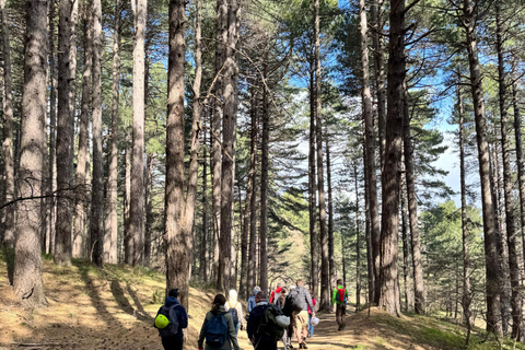 Catania: Excursión a pie por el Etna 2000 m y las Gargantas de Alcántara, recogida