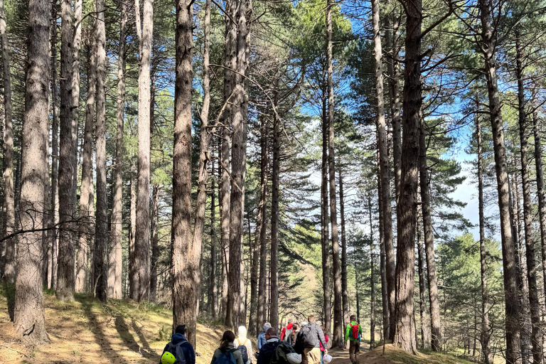 Catania: Excursión a pie por el Etna 2000 m y las Gargantas de Alcántara, recogida