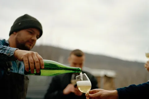 Reil, Mosel: Degustação de vinhos orgânicos e tour guiado pela adega