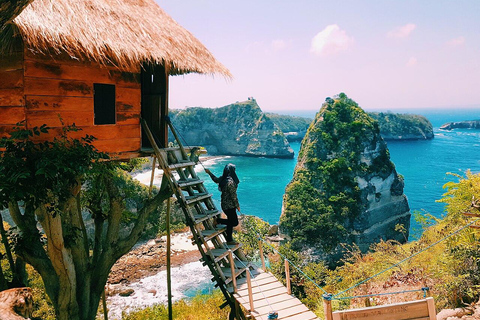 Nusa Penida: Island Sightseeing with Snorkeling and Beaches Nusa Penida West Trip + Snorkeling Sharing