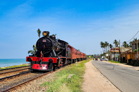Colombo: Mirissa Day Trip with Scenic Coastal Train Ride Colombo: Mirissa Day Trip with Scenic Coastal Train Ride