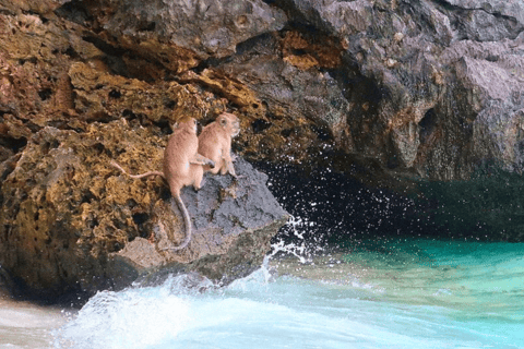 Phuket: Phi Phi Islands båttur med snorkling och lunch