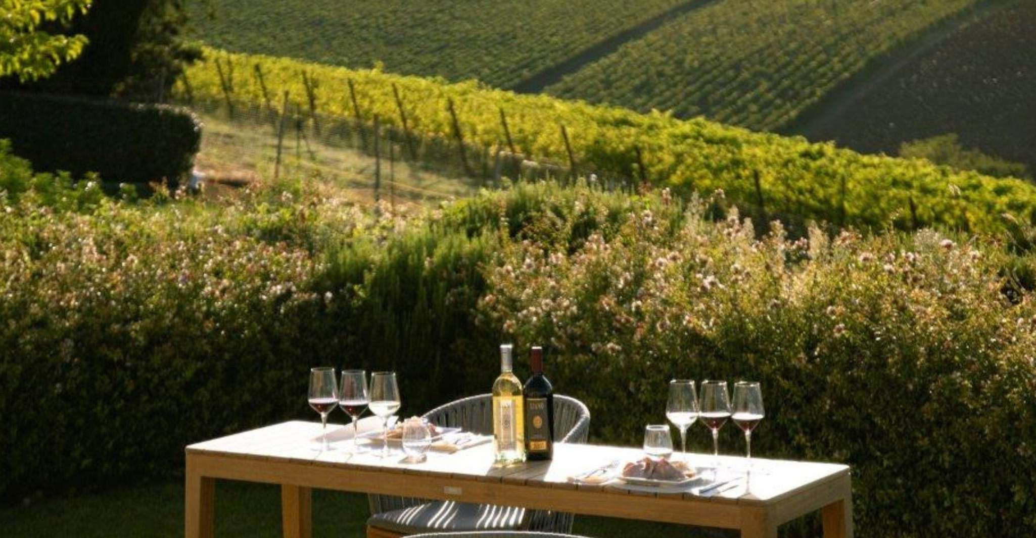 Degustazione di vini di lusso con abbinamenti gastronomici vicino a Bologna