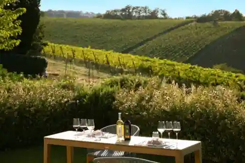 Degustação de vinhos com comida perto de Bolonha