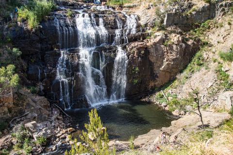 Da Melbourne ad Adelaide: tour esplorativo di 2 giorni via terraCamera singola privata