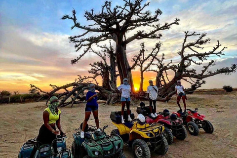 Z Dakaru lub Saly: półdniowa wycieczka do Pink LakeZ Dakaru