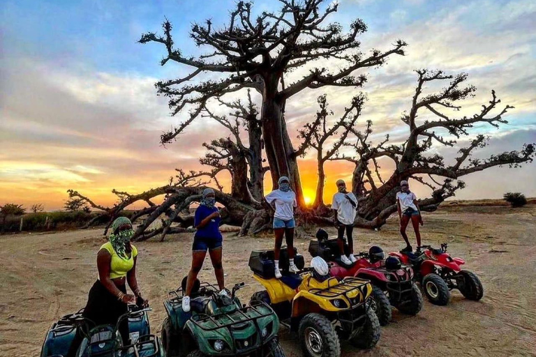 Z Dakaru lub Saly: półdniowa wycieczka do Pink LakeZ Dakaru