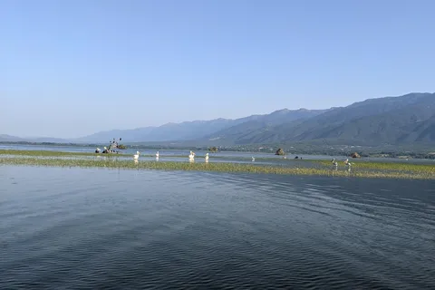 Desde Salónica: Lago Kerkini, paseo en barco y excursión de un día a una bodega