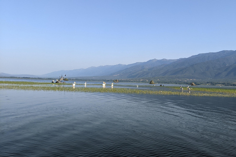 Da Salonicco: Lago di Kerkini, giro in barca e tour della cantina