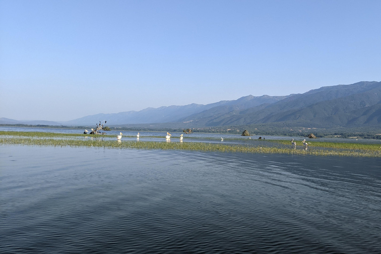 Desde Salónica: Lago Kerkini, paseo en barco y excursión de un día a una bodega