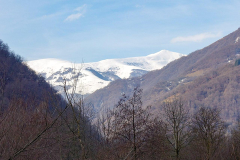 Tbilisi: Viagem de 1 dia a Ananuri, Gudauri e Kazbegi