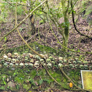 Bali: Trunyan Cemetery Tour (No Burial, No Smell) Bali: Trunyan Cemetery Tour (No Burial, No Smell)