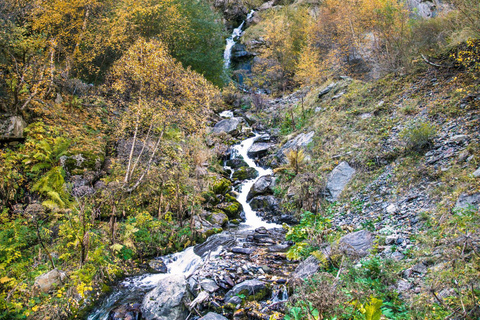 From Stepantsminda: Kazbegi Region Tour