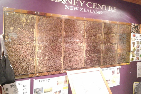 Auckland: Honey Center, Horse Riding & Sheep World Tour