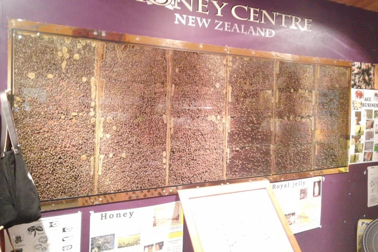 Auckland: Honey Center, Horse Riding & Sheep World Tour