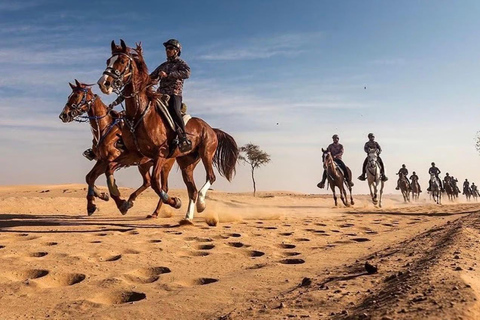 Qatar Desert Trails: Horse Ride & Dune Buggy Adventure