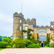 Dublin to Malahide Castle & Gardens Half-Day Trip by Car