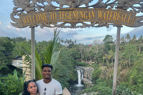 Full Day Tour To Ubud Included Ticket