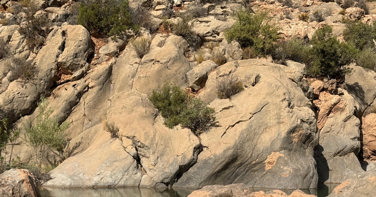 Agadir: Tizgui Oasis Hike, Natural Swimming & Sahara Dunes | GetYourGuide
