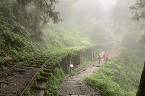 Au départ de Taipei : visite privée de la forêt nationale de Taipingshan