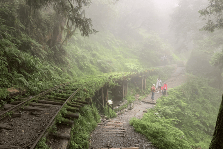 Desde Taipei: Excursión privada de un día al Bosque Nacional de Taipingshan