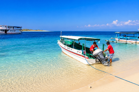 From Lombok: Kanawa Island and Whale Shark Tour with Meals