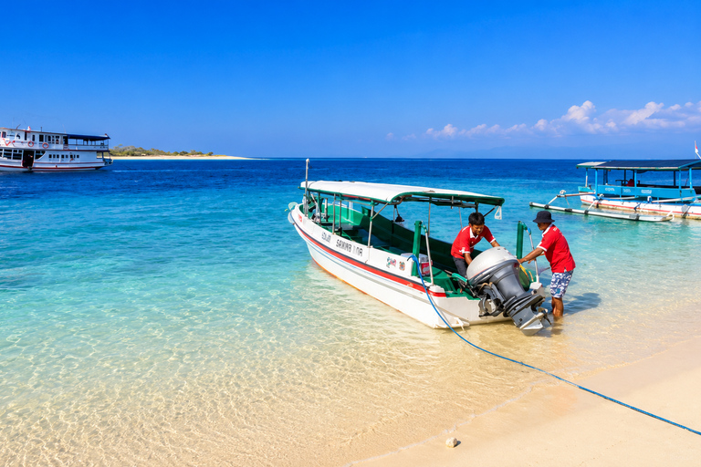 From Lombok: Kanawa Island and Whale Shark Tour with Meals