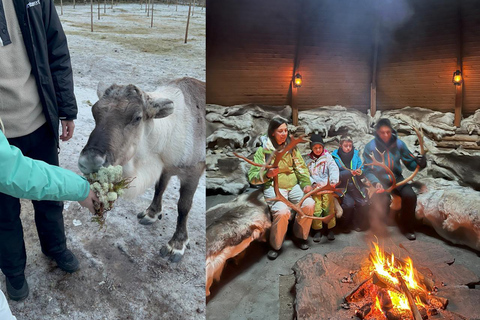 Rovaniemi: Reindeer & Husky Safari with Lunch