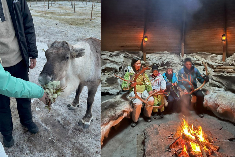 Rovaniemi: Reindeer & Husky Safari with Lunch