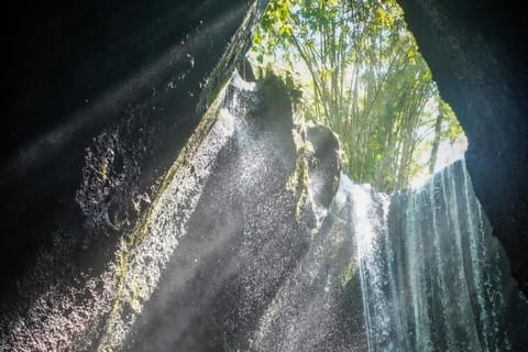 Bali: Private Tour with Photographer & Hotel Pickup