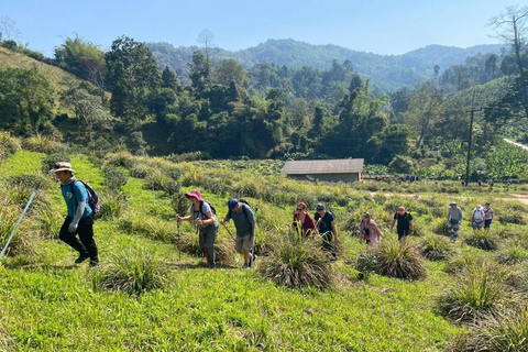 Chiang Rai: Hill Tribe Trek, Waterfall, & Hot Springs Tour