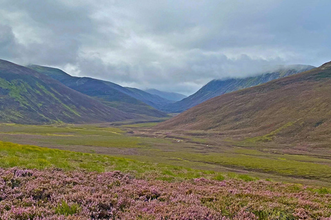 From Inverness: Scottish Highlands Walking Tour with Guide