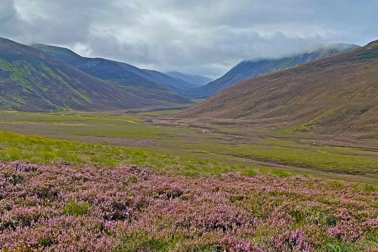 From Inverness: Scottish Highlands Walking Tour with Guide