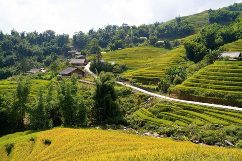 From Hanoi: Sapa 3-Day Trek with Culture and Cozy Bungalow From Hanoi with Sleep Bus & cozy Bungalow
