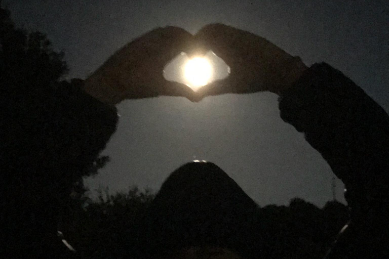 Sonoma County: Military grade optic Celestial Night Tours Sonoma Coast Stargazing: Gen 3 Military grade night optics