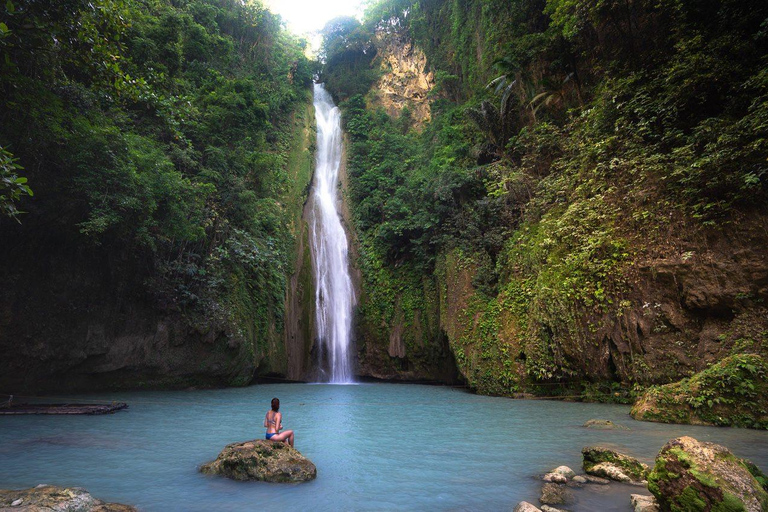 Cebu: Mantayupan Falls and Moalboal Sardines & Turtle Tour